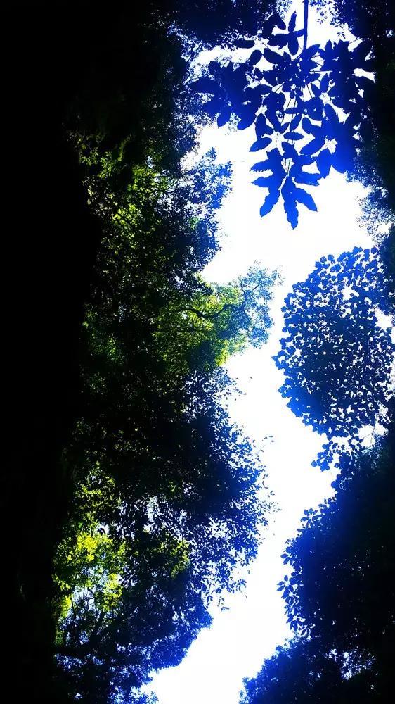 上升的白气球
