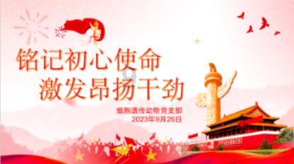 为什么大学是最佳谈恋爱时期？游戏画面