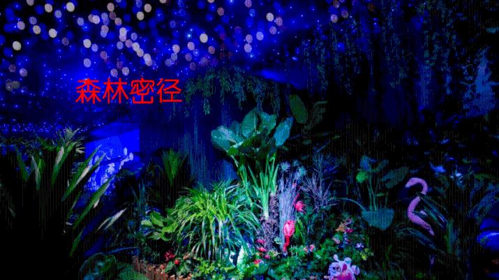 春运首日成都公交集市开幕